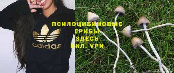 a pvp Беломорск