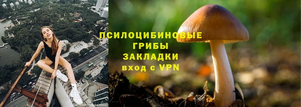 хмурый Богданович